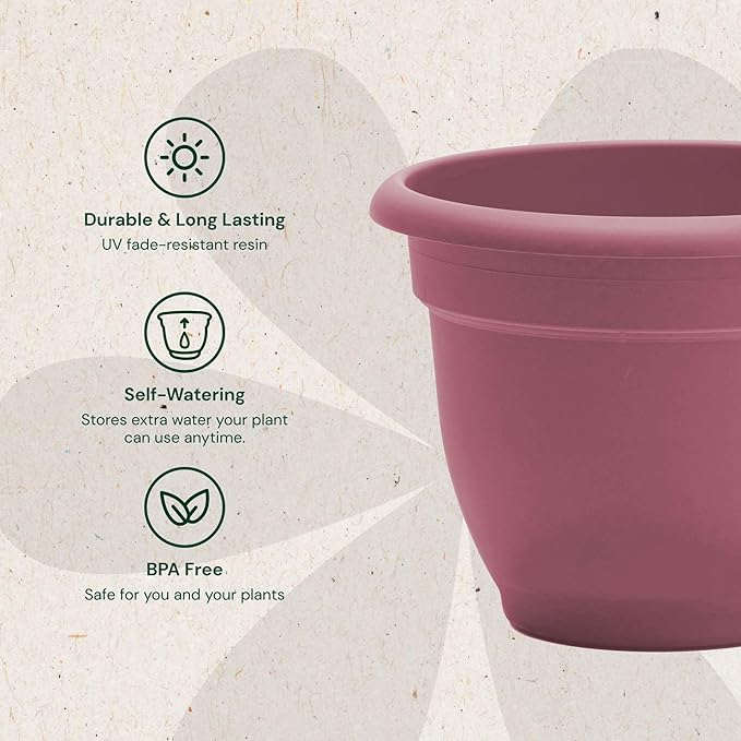 Bloem Ariana 16" Plastic Self-Watering Planter, Dusty Rose, 2-Pack | Self-watering disk at the bottom of each pot that acts as a water wick and reservoir for optimal plant health