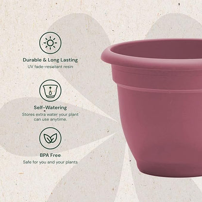 Bloem Ariana 16" Plastic Self-Watering Planter, Dusty Rose, 2-Pack | Self-watering disk at the bottom of each pot that acts as a water wick and reservoir for optimal plant health
