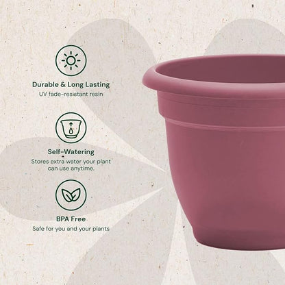 Bloem Ariana 12" Plastic Self-Watering Planter, Dusty Rose, 2-Pack | Self-watering disk at the bottom of each pot that acts as a water wick and reservoir for optimal plant health