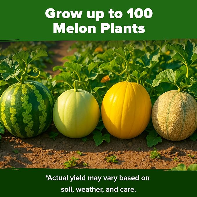 HOME GROWN Melon Seeds 5 Variety Mix 115+ Heirloom Non-GMO, High Germination, Watermelon Sugar Baby, Cantaloupe, Honeydew, Sweet & Juicy Summer Fruit, Indoor Outdoor Garden (Cucumis melo/Citrullus)