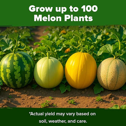 HOME GROWN Melon Seeds 5 Variety Mix 115+ Heirloom Non-GMO, High Germination, Watermelon Sugar Baby, Cantaloupe, Honeydew, Sweet & Juicy Summer Fruit, Indoor Outdoor Garden (Cucumis melo/Citrullus)