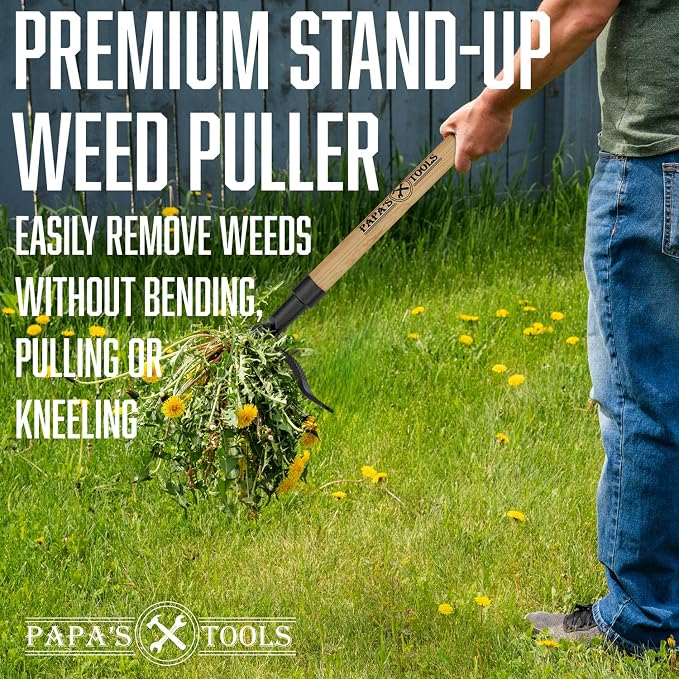 MELISSA AND HARRY Papa's Tools Weeder - Stand Up Weed Puller Tool Made with Long Wooden Handle - Real Bamboo & 4-Claw Steel Head (Natural / 3PC)