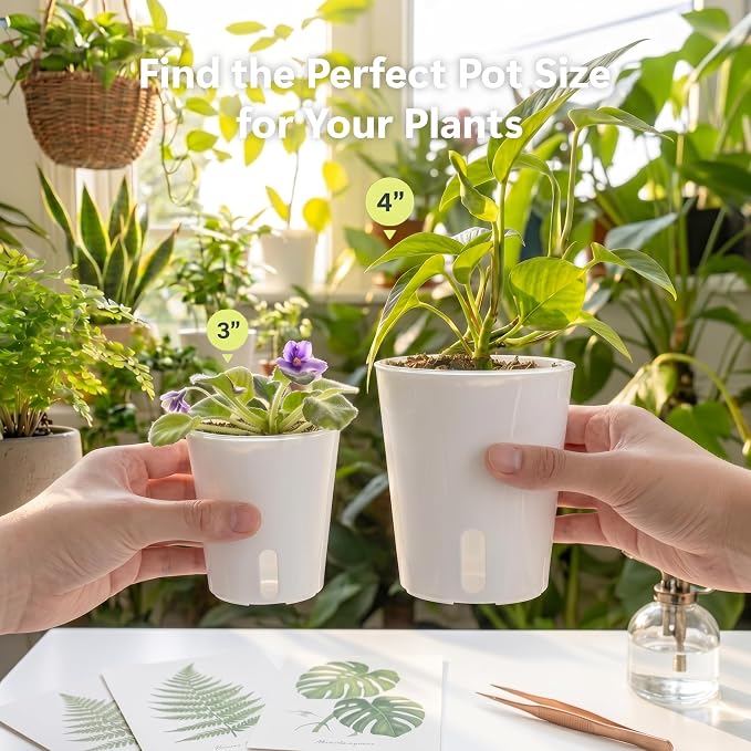 10 Pack 4" Self Watering Small White Plant Pots for Indoor Plants, Clear Inner Cup, Water Level Indicator, Drainage Holes & Wick, for Cuttings, Seedlings, Herb, African Violet, Hoya, Begonia