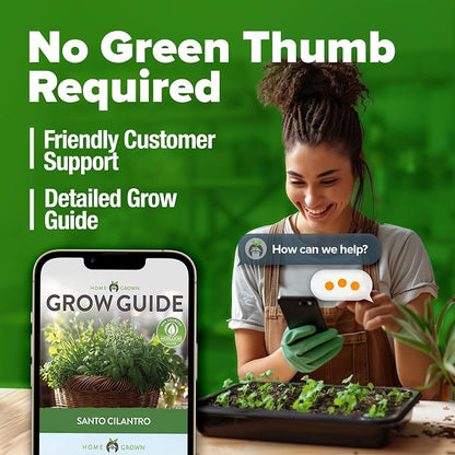 HOME GROWN Non GMO 500+ Cilantro Seeds (Fast Growing) Heirloom Coriander Seeds for Planting Indoors & Outdoors Santo Cilantro Herb for Kitchen Garden, High Germination