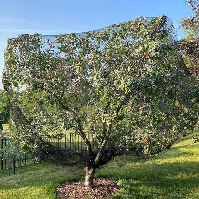 Bird Netting for Chicken Coop 50x50 Ft, 1" Mesh, Strong Woven Poultry Netting Roof Cover for Chicken Run, Heavy Duty Bird Net for Fruit Trees, Blueberry, Vegetables, Garden Protection