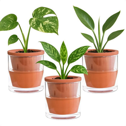 D'vine Dev 4 Inch Design Self Watering Pot for Indoor Plants, Terracotta Planter with Cylinder Glass Cup, Set of 3, 37-Z-A-1-T