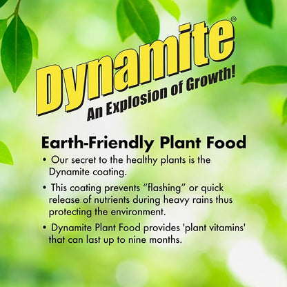 Dynamite Mater Magic - Organic Tomato Fertilizer for Bigger, Juicier Tomatoes and Vegetables, OMRI Listed, Nitrogen and Calcium-Rich Plant Food - .675 Pound Container with Shaker Lid (Pack of 2)