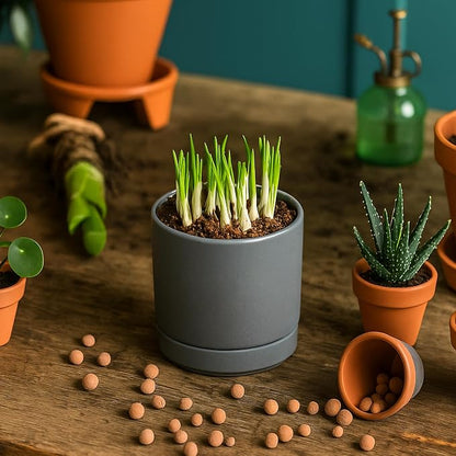 D'vine Dev Set of 4 Small Ceramic Plant Pots, 3.5 Inch Succulent Planter Pot for Plants with Drainage Hole and Saucer, Grey, 94-X-A-3