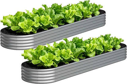 Galvanized Raised Garden Bed Outdoor, 12x2x1ft(2Pack) Metal Heavy Duty Planter Boxes for Gardening, Easy Assemble Bottomless Small Oval Plant Container Kit for Vegetable, Flower, Fruit, Silver