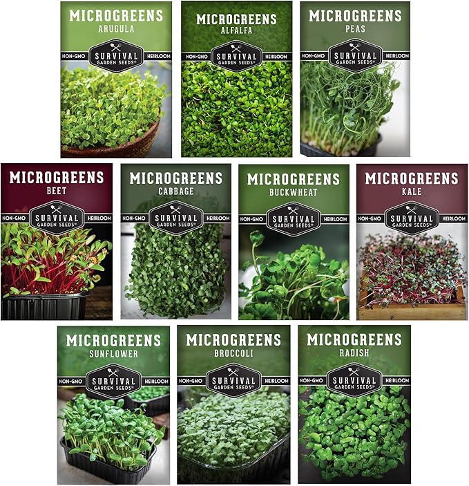 Microgreen Seeds Variety Pack – 10 Heirloom Types for Indoor Sprouting | Broccoli, Pea, Sunflower, Radish, Kale, Arugula & More – High Germination Non-GMO – Survival Garden Seeds (Seeds Only)