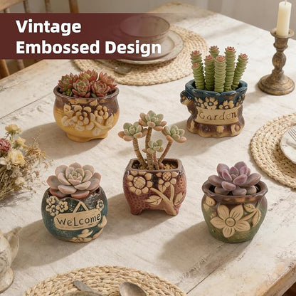 Succulent Ceramic Garden Pots Small Plant Planter Container with Drainage Set of 5 for Home Office Decor