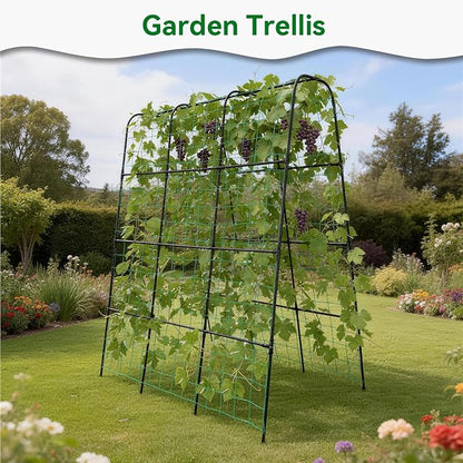 Cucumber Trellis - 62.4"*50" Cucumber Trellis for Raised Bed with Plastic-Coated Steel Pipe, U-Shape Garden Trellis for Climbing Plants, Garden Trellis for Cucumbers, Beans(Black)