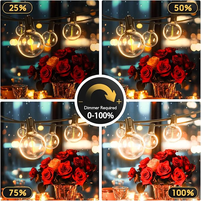 G40 Globe String Lights 60ft LED Shatterproof Hanging Patio Lights, 20+2 Bulbs, Waterproof Connectable for Indoor Outdoor Decor Garden Camping Backyard Spring Easter Gifts for Men Women Him Hubby