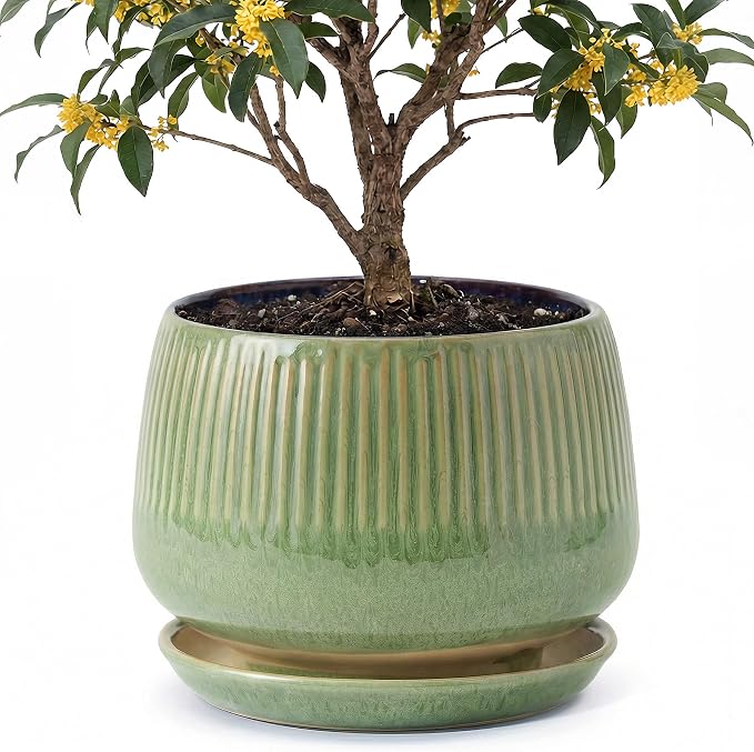 10.3 Inch Ceramic Planter with Saucer,Modern Garden Pots with Drainage Hole Mesh Net, for Indoor Outdoor Use (Crackle Green)