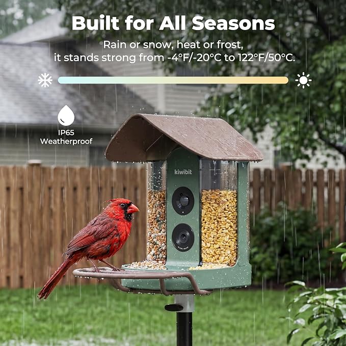 Kiwibit Smart Bird Feeder with 4K AI Camera Solar Powered, No Subscription | Lifetime AI Identification Bird Species, 4K Live Stream, 8MP Photos, Real-Time Bird Visit Alert, Backyard Birdwatching Gift
