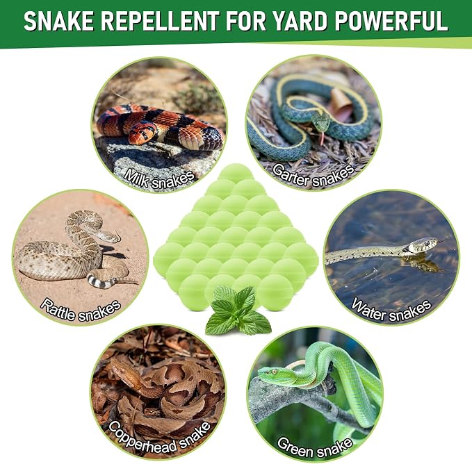 30 Pack Snake Repellent for Yard Powerful,Snake Away Repellent Outdoors, Moth Balls for Snakes, Pet Safe Snake be Gone for Lawn Garden Fishing Home to Repels Snakes and Other Pests (Mint)