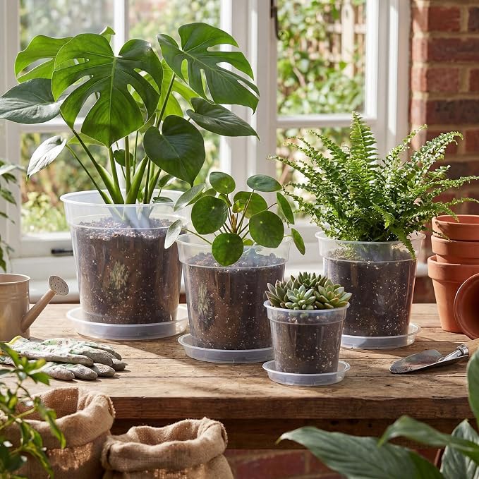 Baderke 8 Pack Clear Nursery Pot Plastic Nursery Pot Large Plant with Drainage Holes for Root Health Indoor Outdoor (Multiple Sizes)