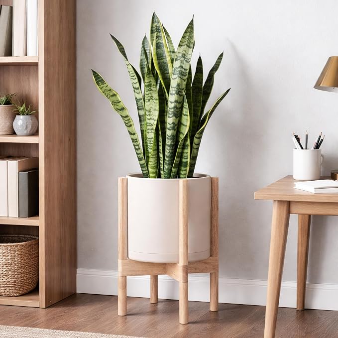 D'vine Dev Plastic Pot with Natural Wood Stand, Oatmeal, 10 in, 55-C-M-4 | Mid-Century Inspired Design, Elevated Plant Display, Clean Lines, Sturdy Support, Modern Space-Saving Style
