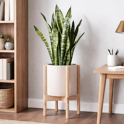 D'vine Dev Plastic Pot with Natural Wood Stand, Oatmeal, 10 in, 55-C-M-4 | Mid-Century Inspired Design, Elevated Plant Display, Clean Lines, Sturdy Support, Modern Space-Saving Style