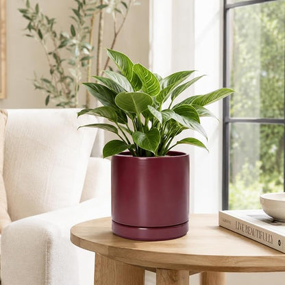 D'vine Dev 8 Inch Ceramic Planter Pot, Cordovan, 94-O-D-4 | Modern Cylinder Design, Drainage Hole & Saucer Included, Stable Structure, Elegant Home Accent