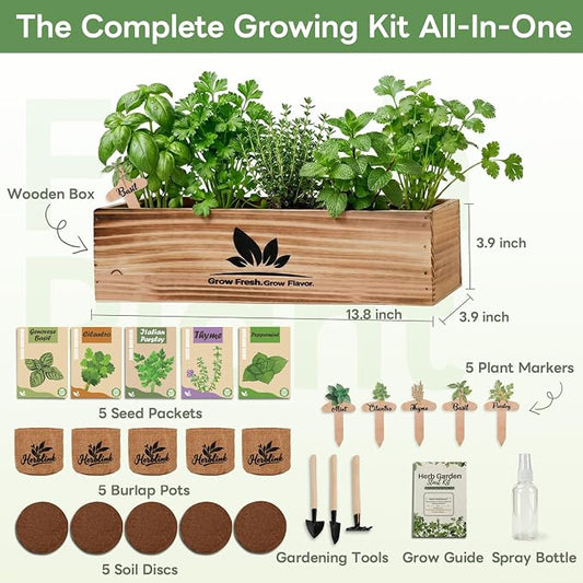Indoor Herb Garden Starter Kit, Unique Gifts 5 Herb Garden Planter Indoor Kit with Wooden Box Including Basil, Cilantro, Thyme, Parsley, Mint, Fresh Herb Garden, Gardening Gifts for Women