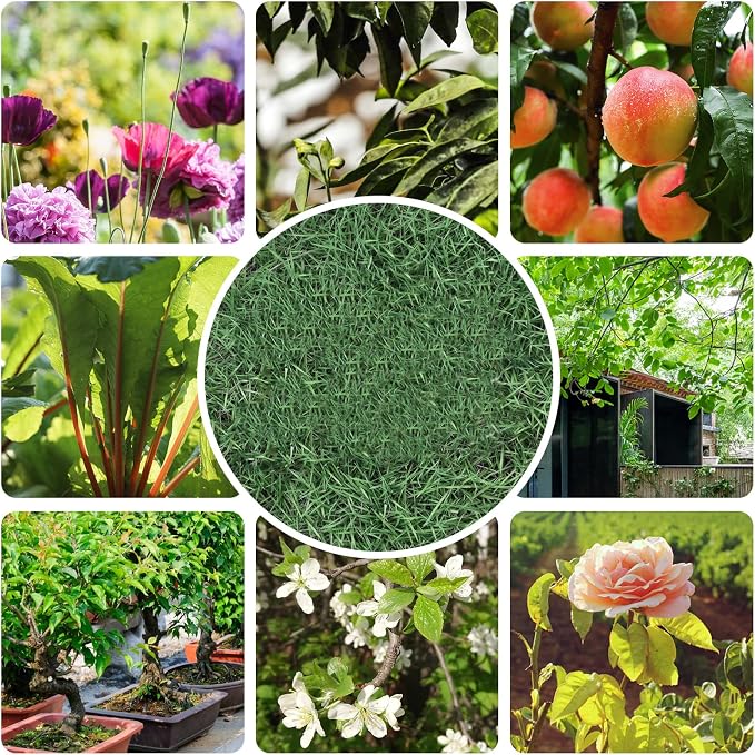 Premium garden shears, meperez pruning scissors gardening tools, pruners for flower, bushes, rose and fruit tree, use for florist, yard and orchard the plant clippers, sharp steel anvil snips