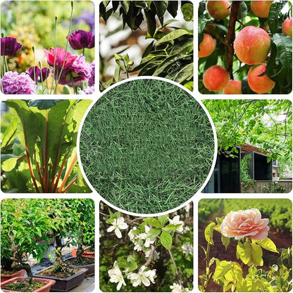 Premium garden shears, meperez pruning scissors gardening tools, pruners for flower, bushes, rose and fruit tree, use for florist, yard and orchard the plant clippers, sharp steel anvil snips