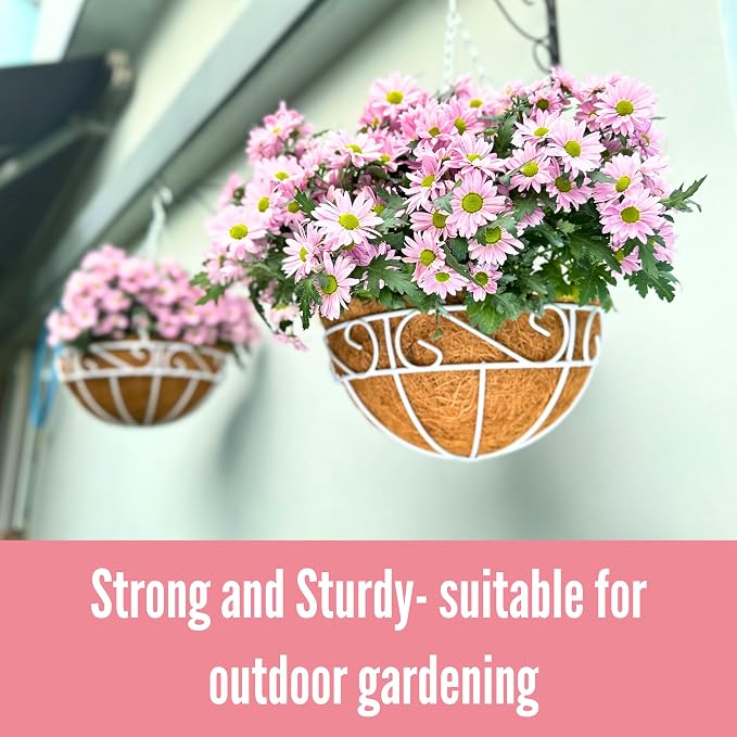LaLaGreen Hanging Planter for Outdoor Plants (2 Pack, 10 Inch) White Hanging Baskets with Coco Liner, Metal Wire Flower Basket Pots with Hook Hanger Balcony Porch Farmhouse Country Style Garden Decor