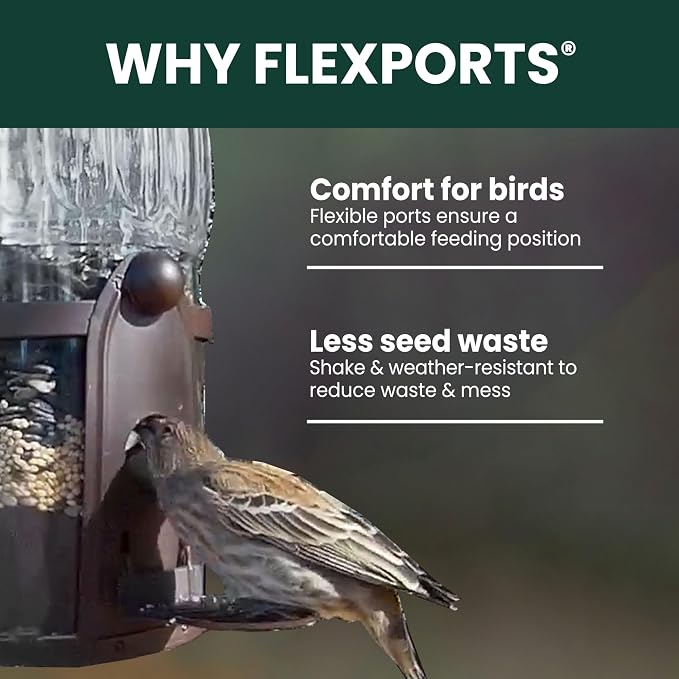 Perky-Pet Squirrel-Be-Gone Max Bird Feeder, (4) Flexport Feeding Stations | Squirrel-Proof Metal Hanging Feeder for Outdoors, Weight-Activated Ladder-Style Perches, 4lb Seed Capacity, 334-1SR