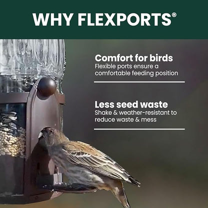 Perky-Pet Squirrel-Be-Gone Max Bird Feeder, (4) Flexport Feeding Stations | Squirrel-Proof Metal Hanging Feeder for Outdoors, Weight-Activated Ladder-Style Perches, 4lb Seed Capacity, 334-1SR