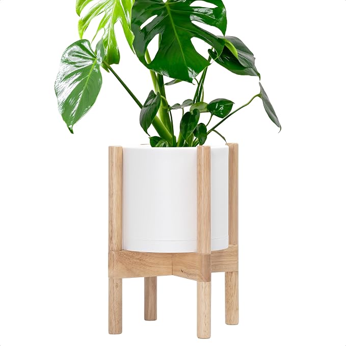 D'vine Dev Plastic Pot with Natural Wood Stand, White, 8 in, 55-C-J-1 | Mid-Century Inspired Design, Elevated Plant Display, Clean Lines, Sturdy Support, Modern Space-Saving Style