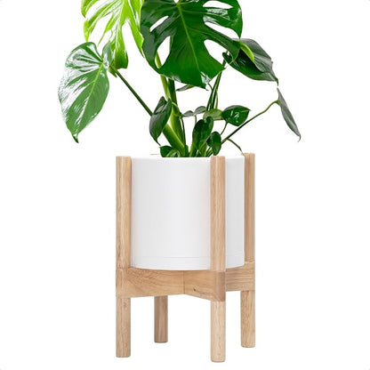 D'vine Dev Plastic Pot with Natural Wood Stand, White, 8 in, 55-C-J-1 | Mid-Century Inspired Design, Elevated Plant Display, Clean Lines, Sturdy Support, Modern Space-Saving Style