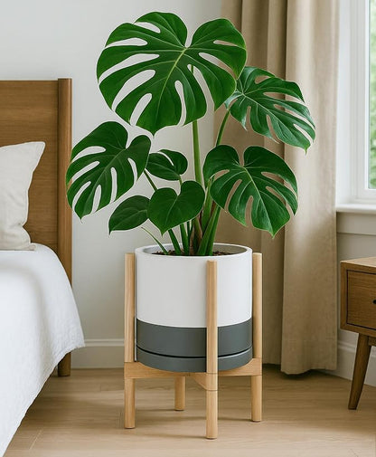 D'vine Dev Ceramic Planter with Natural Stand - 12 Inch Modern Round Flower Pot with Wood Planter Holder, White/Grey, 55-B-J-6