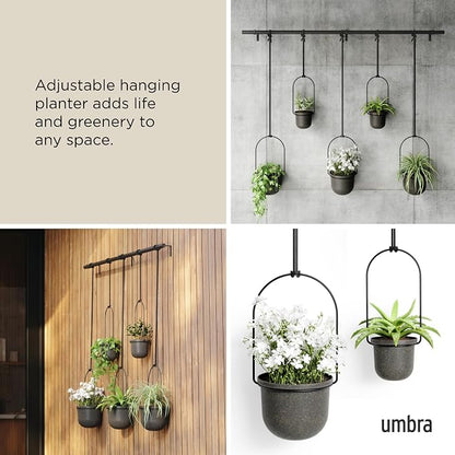 Umbra Triflora Hanging Planter for Window, Indoor Herb Garden, Set of 5, Black