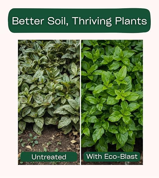 Eco-Blast™ Instant Compost Tea – 2oz Bag. Soil Microbes with Plant Probiotics, Mycorrhizae, Kelp, Yucca, Humic, Amino & Fulvic Acids.