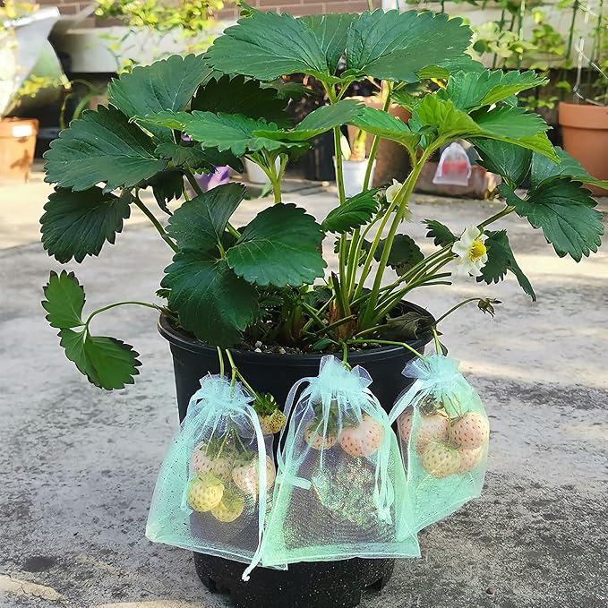 MIXC 50 Pcs Fruit Protection Bags,8''×12''Fruit Netting Bags for Fruit Trees Fruit Cover Mesh Bag with Drawstring Netting Barrier Bags for Plant Fruit Flower