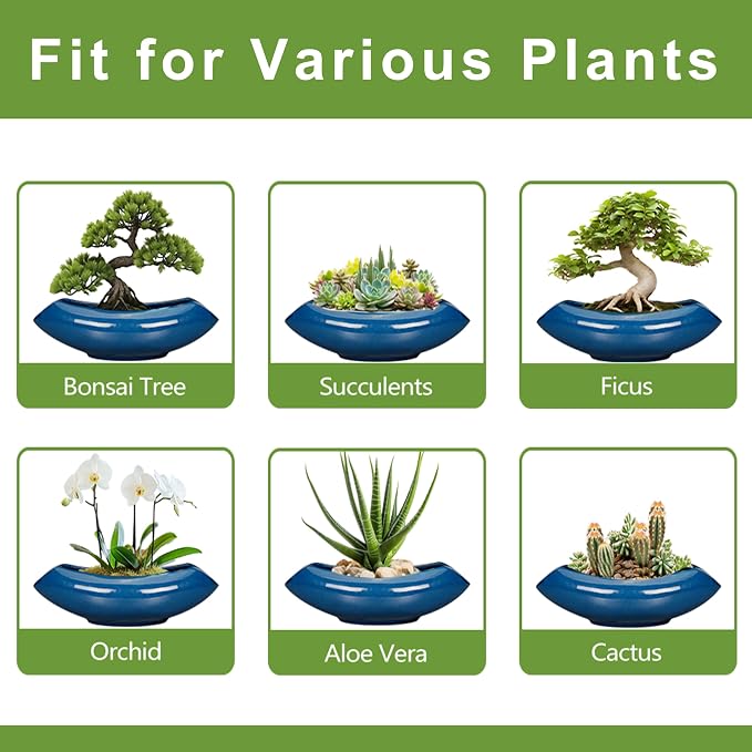 Bonsai Tree Pot 18 Inch - Ceramic Succulent Pots Large Bonsai Planter for Indoor Outdoor Plants Decorative Plant Pot with Drainage Hole Flower Pot for Home Garden Room Decor Blue