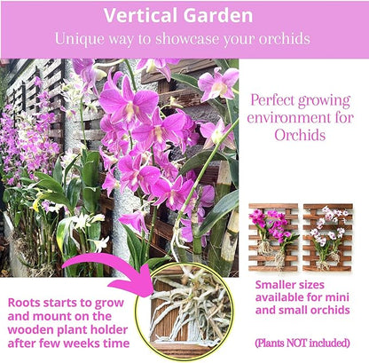 ShopLaLa Wall Planter (60cm, 2 Pack) Hanging Planters for Indoor Plants | Wall Mount Plant Stand Ladder Outdoor Vertical Garden Unique Live Orchid Planter Holder Display Large Wall Decor