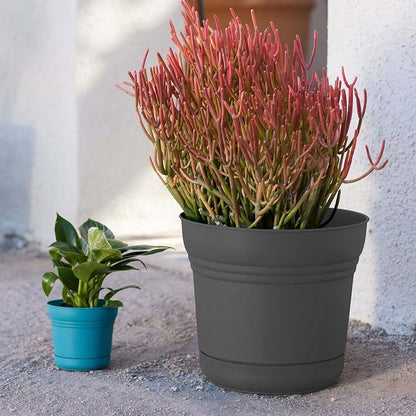 Bloem Saturn Round Planter with Saucer Tray: 12" - Charcoal - Durable Plastic Pot, Matte Finish, Removable Saucer, for Indoor & Outdoor Use, Gardening, 3 Gallon Capacity | Medium-sized pot with built-in drainage holes and detachable saucer tray to prot...