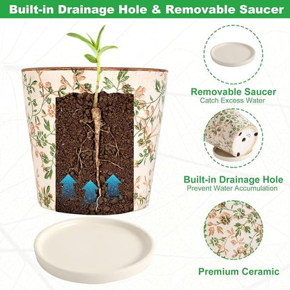 Ceramic Flower Pots For Indoor Plant, 5.5 Inch Small Ice Crack Plant Pots With Drainage Hole & Saucer, Decorative Vintage Planters For Succulent Herb Cactus Mint Basil, Garden Pot For Home Decor