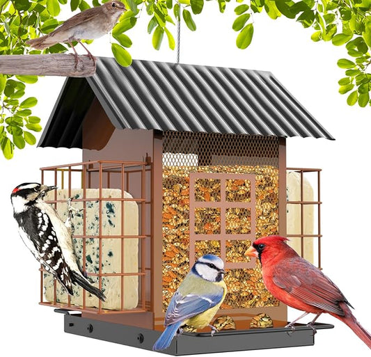FlowaFoli Bird Feeders for Outdoors Hanging, Metal Bird Feeder with Double Suet Cage Cake, Large Capacity, Birdfeeders Sturdy & Weatherproof, Easy to Clean & Refill, Great for Attracting Wild Birds