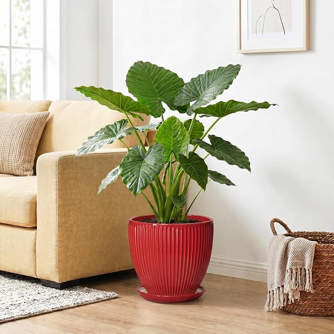 10 Inch Plant Pot, Ceramic Planters for Indoor Plants, Decorative Plant Pots with Drainage Hole and Saucer, Modern Round Large Planter, Office Apartment Decor, House Warming Gifts, Red