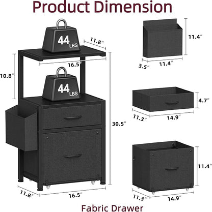 HIGDBFE 2-Drawer File Cabinet with Printer Stand & Dual Shelves, Black | 2-Tier Printer Storage, Letter File Drawer, Reversible Side Bag, Smooth Drawer Slides, Rolling Support Board