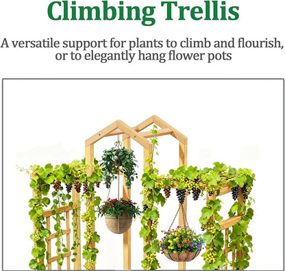 Raised Garden Bed with Arch Trellis, Wood Planter Box with Hanging Roof & Side Trellis, Above Ground Elevated Garden Bed for Outdoor Climbing Plants, Vines, Patio, Balcony