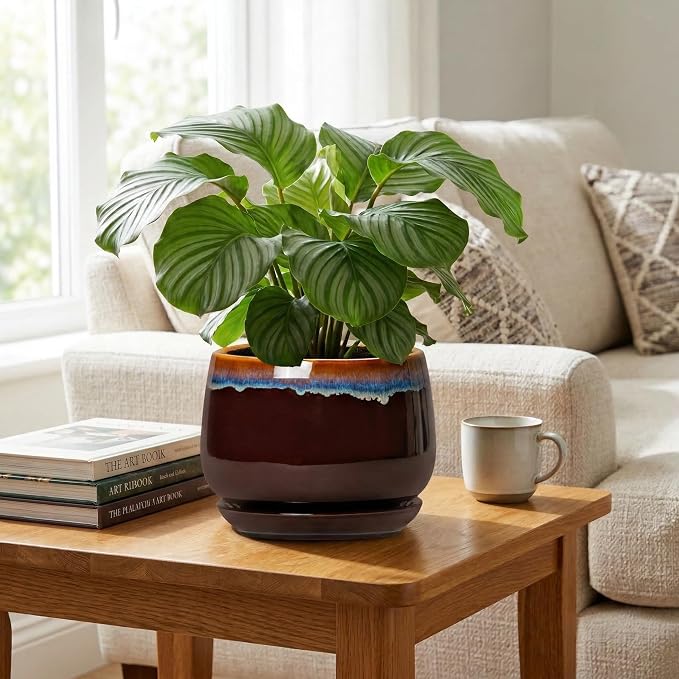 9 Inch Flower Pots - Ceramic Planter with Drainage Hole and Saucer, Decorative Ceramic Pots for Indoor Plants, Round Plant Pot, Garden Home Living Room Decor, Housewarming Gifts, Brown-Blue