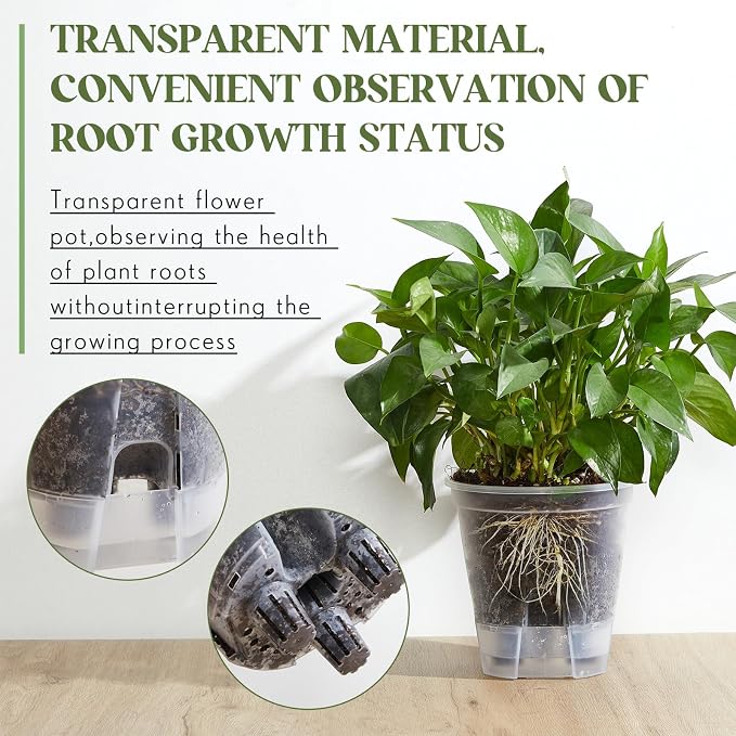 Wonderjune Self Watering Pots for Indoor Plants with Deep Reservoir and High Drainage Holes for Outdoor Plants and Flowers, Bare Root Planter(5.91'',Clear,6 Pcs)