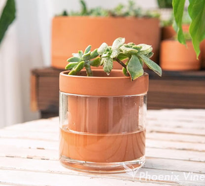 Phoenix Vine 4 Inch Self Watering Planter Pot, Terracotta Clay Pot with Glass Reservoir for Indoor Plants, Herbs, Flowers, Set of 2, 52-A-E-2