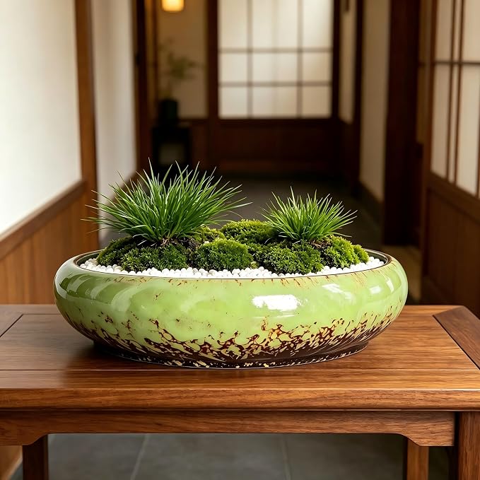 Succulent Pots, 10 Inch, Shallow Planter with Drainage for Succulent Planters, Bonsai Pots & Cactus Pots, Plant Pots, Ceramic Planters for Indoor Plants - Perfect for Home Offie Garden Decor, Green