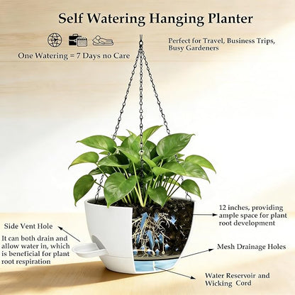 12 Inch Self Watering Hanging Planters 2 Pack, White | Plastic planters with drainage holes and saucers. Suitable for indoor, outdoor, kitchen, balcony and garden plant decor.