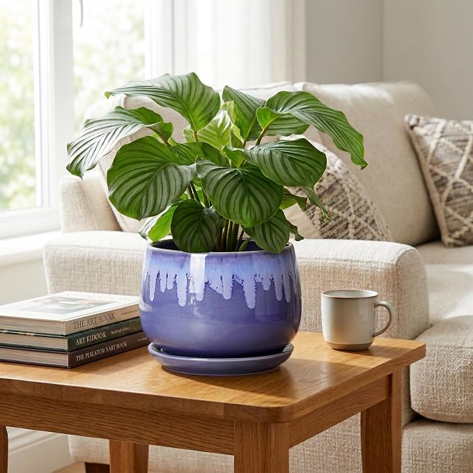 Ceramic Planter for Plants- 9 Inch Plant Pots Indoor with Drainage and Saucer, Decorative Planters, Durable Round Indoor Flower Pot, Garden Room Decor, Plant Gifts for Women Men, Blue